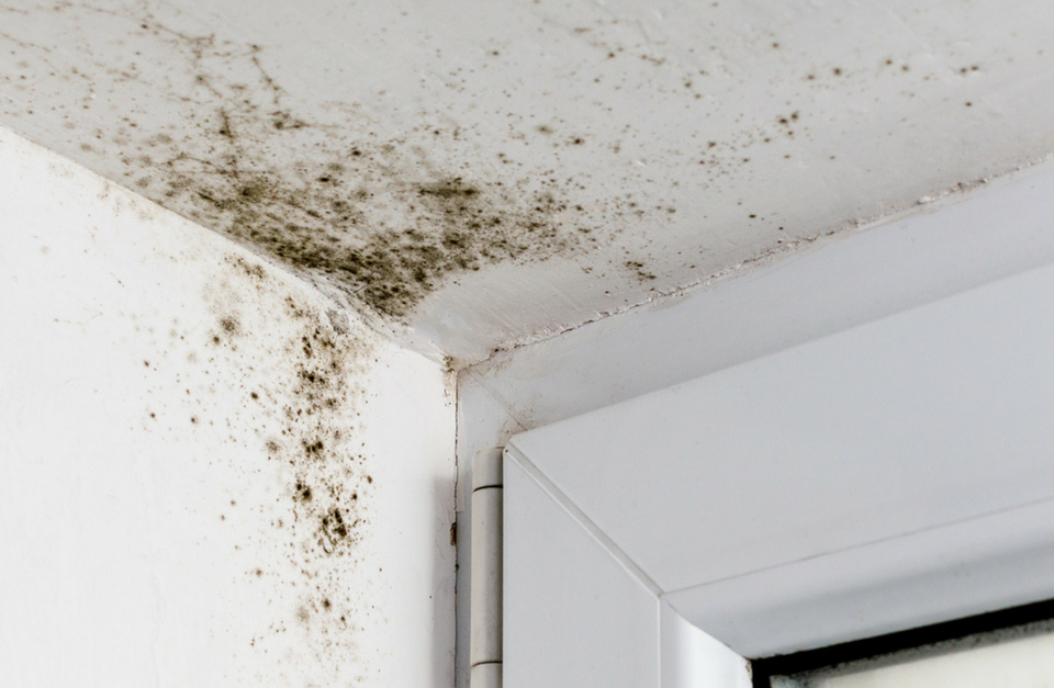 Une infiltration d'eau au niveau de la toiture crée une tache au plafond ou  une fuite d'eau - AS Couverture