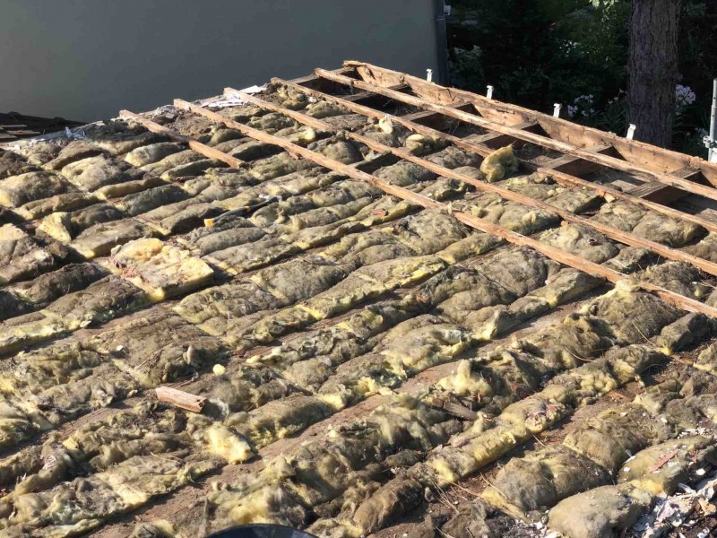 réalisation d'un chien assis en zinc sur st maur des fossés